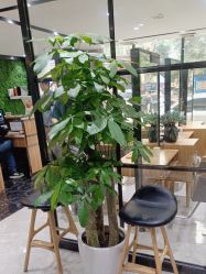 -Nice奈斯形象定制沙龙