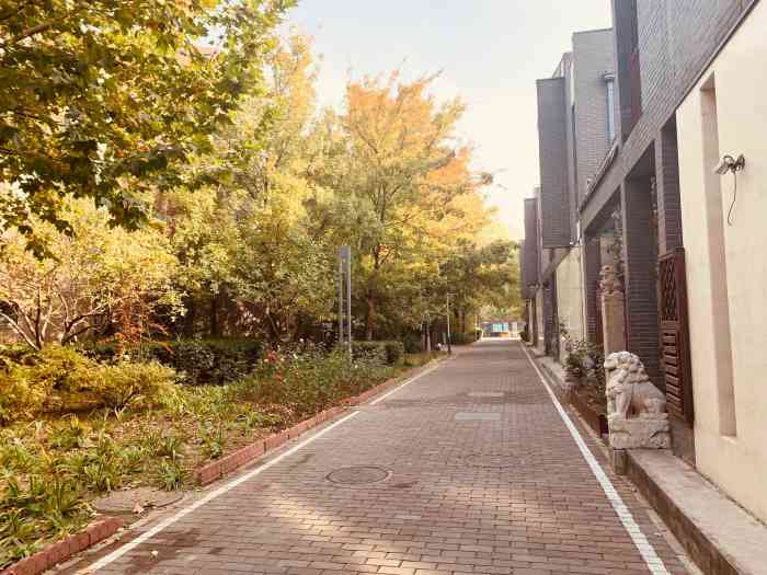 领秀新硅谷b区-"距离公司最近的小区,走路还蛮方便的,就是.