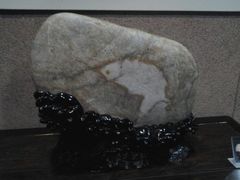 android_upload_pic-中华赏石园