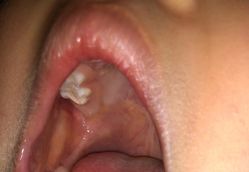 -睿宝儿科·眼科·口腔(静安大悦城门诊部)