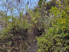 -秦岭终南山世界地质公园翠华山景区