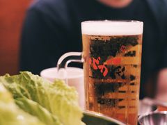 -大阪烧肉BAKA一代(十亩地店)