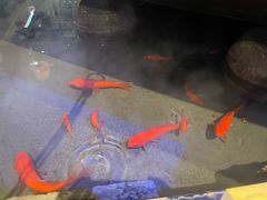 -红蜡烛-养生粥-津鲁菜(中山路店)