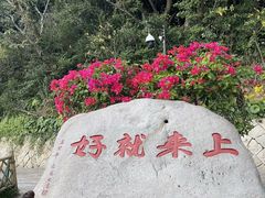 -普陀山风景区-佛顶山
