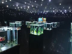 -邯郸海洋世界