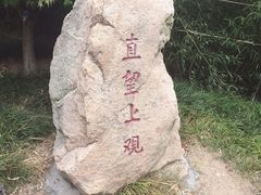-竹子庵公园