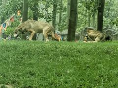 -北京野生动物园