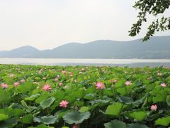 -云龙湖旅游景区