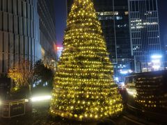 -济南凯宾斯基酒店-THE VIEW云景全日制餐厅