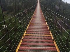 -玉苍山国家森林公园