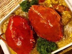 -茉莉.Red Crab