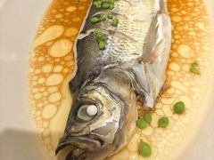 -祥记餐饮•豫粤珍味(郑东新区新长安店)