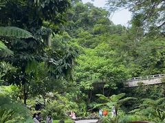 -深圳仙湖植物园