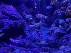 -成都浩海立方海洋公园