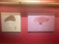 -老牌坊云南鱼豆花火锅(哈西万达店)