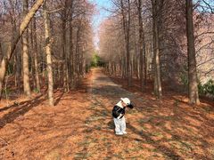 -上海海湾国家森林公园