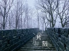 -塔云山
