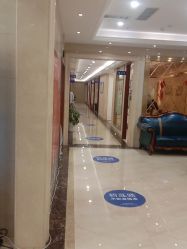 -碧莲盛·不剃发植发