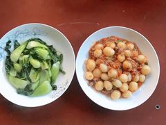 -田螺阿姨自营月嫂·育儿嫂(高新店)