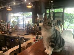 -咖法森林·咖啡  酒吧(天河店)