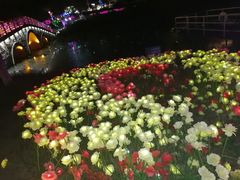 -大塘金香草谷