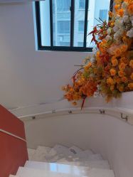 -WENDY·温迪皮肤管理