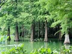 -艾溪湖湿地公园