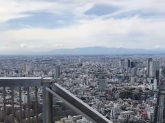 -六本木新城展望台(东京城市景观)