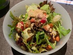 凉拌苦菊-很久以前羊肉串(昌里路三钢里店)