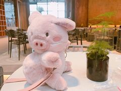 -杭州开元森泊度假乐园