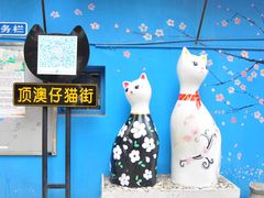 -猫咪博物馆(顶澳仔猫街店)