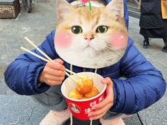 -阿宝生煎包(万松园总店)