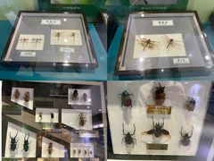 -上海昆虫博物馆