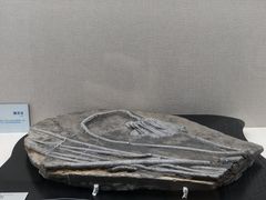 -云南省博物馆