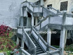 -深圳仙湖植物园