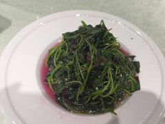 -金枝玉叶上海人家食府(三里河店)