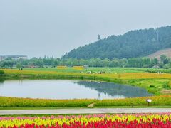 -径山花海
