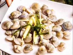 -海大大蒸汽海鲜餐厅·粤菜·特色小炒(欢乐颂店)