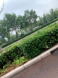 -HEYAN长风荷妍专业脱毛美肤
