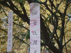 -西安大兴善寺