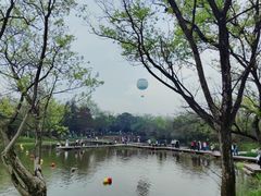 -西溪国家湿地公园