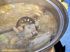 鲜人参锅底-千岛蚝高压锅生蚝·人参火锅(白云万达店)