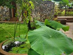 -汉中石门栈道景区