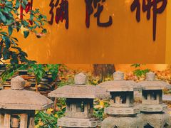 -灵谷景区