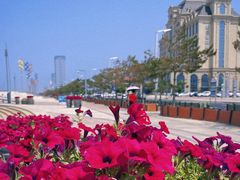 -烟台金沙滩海滨公园