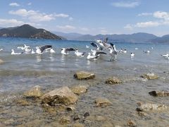 -丽江泸沽湖景区
