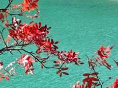 -叠溪松坪沟景区