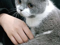 -佳雯宠物医院(金华南路分院)