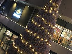 -深圳来福士广场