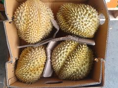 -东方鼎信农副产品交易中心